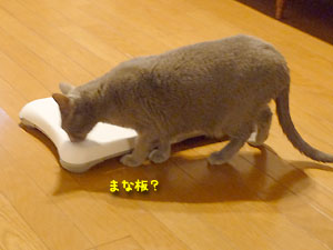ロビくん